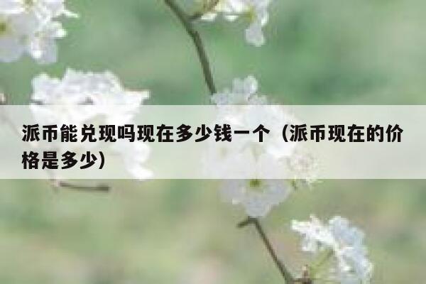 派币能兑现吗现在多少钱一个（派币现在的价格是多少） 第1张
