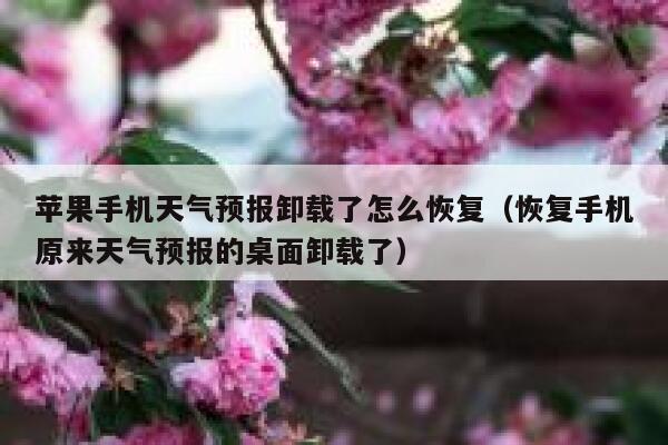 苹果手机天气预报卸载了怎么恢复（恢复手机原来天气预报的桌面卸载了） 第1张