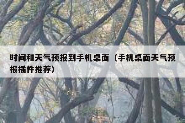 时间和天气预报到手机桌面(手机桌面天气预报插件推荐) 第1张 时间和天气预报到手机桌面(手机桌面天气预报插件推荐) 第1张