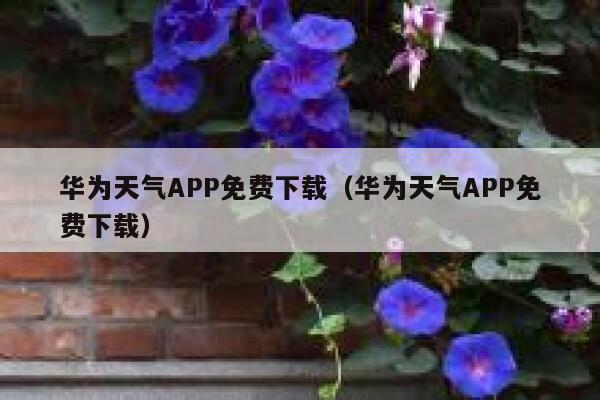 华为天气APP免费下载（华为天气APP免费下载） 第1张