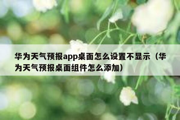 华为天气预报app桌面怎么设置不显示（华为天气预报桌面组件怎么添加） 第1张