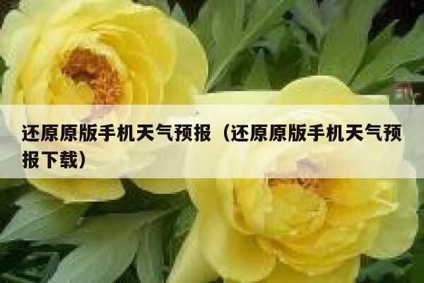 还原原版手机天气预报（还原原版手机天气预报下载） 第1张