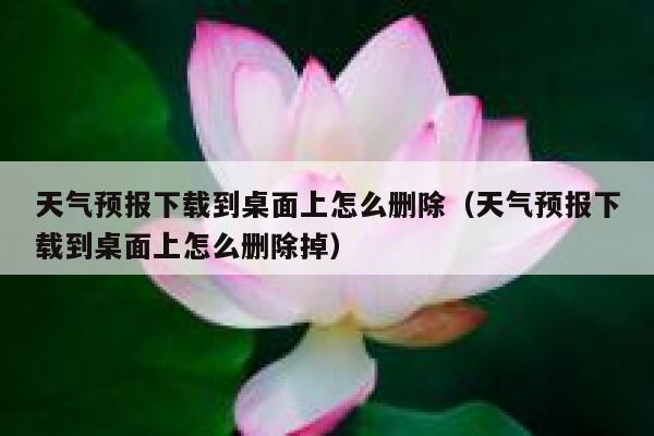 天气预报下载到桌面上怎么删除(天气预报下载到桌面上怎么删除掉) 第1张 天气预报下载到桌面上怎么删除(天气预报下载到桌面上怎么删除掉) 第1张
